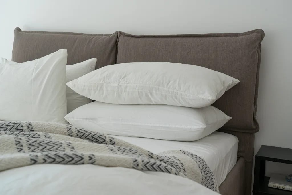 Abbotsford Bed Bug Control - Mattress and Pillows
